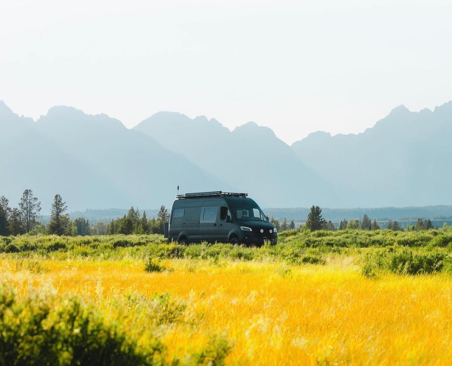 Van parked in a field of yellow flowers with mountains in the background