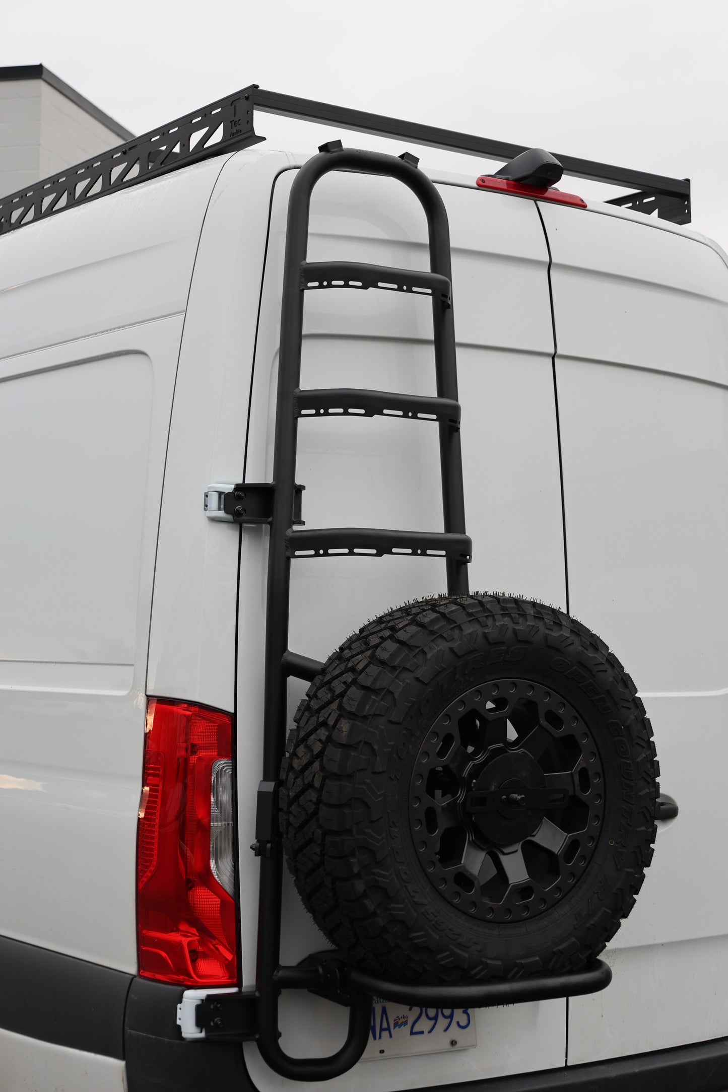 Sprinter Two-In-One Tire Ladder Carrier