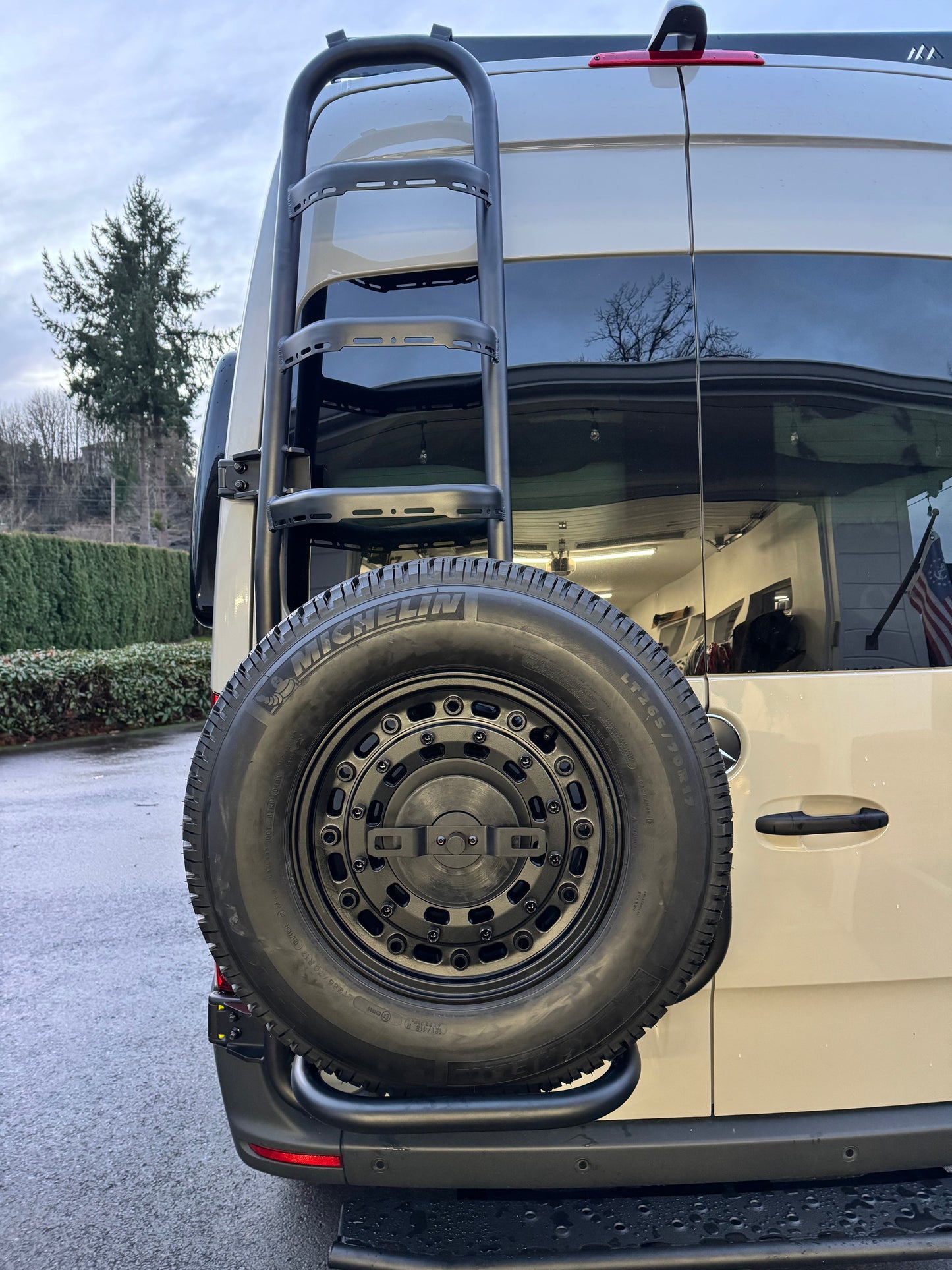 Sprinter Two-In-One Tire Ladder Carrier