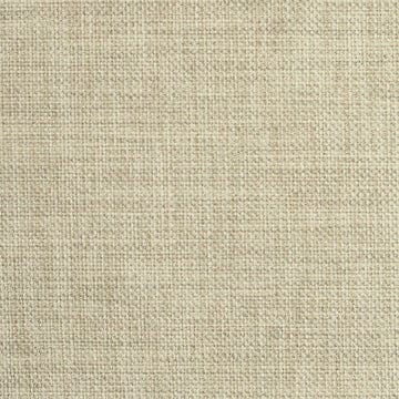 Nassimi Minetta 54" Polyester Fabric