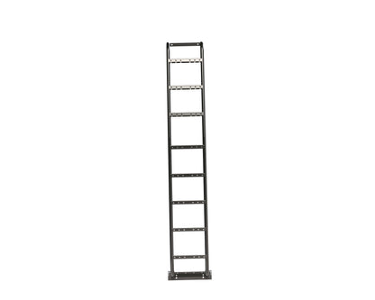 Promaster High Roof Side Ladder